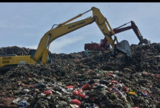 Pemborosan Sampai Rp 24.56 Miliar, Temuan BPK Seret DLH Kabupaten Bekasi