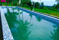 Rekomendasi Liburan Lebaran Keluarga di Sumedang: Murah Meriah dengan Nuansa Sawah Ala Ubud Bali