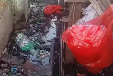 Relokasi Pasar Cikarang Dikeluhkan, Pedagang Ayam Potong Sebut Pembeli Sepi Lantaran Lingkungan Kotor