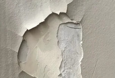 14 Cara Mengatasi Dinding Rumah Lembap dan Cat Mengelupas Akibat Rembesan Air Hujan, Kenali Sebelum Terlambat!