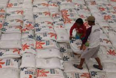 Gudangnya Banyak Kutu hingga Serang Pemukiman Warga, Bulog Karawang Pun Disomasi