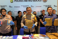 Sindikat Narkoba Dibekuk Lagi, 12 Pelaku Terancam Hukuman Seumur Hidup