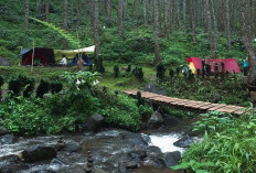 Rekomendasi Liburan Lebaran Keluarga: Wisata Alam Sejuk di Tengah Hutan Pinus di Sumedang