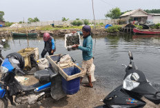 Laut di Kabupaten Bekasi Diduga Tercemar Limbah PLTU Milik Cikarang Listerindo, Nelayan Desak Pemda Cabut Izin