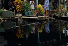 Ironi Hari Sungai Nasional, Warga Kabupaten Bekasi Masih MCK di Sungai Hitam, DPRD Sentil DLH