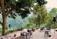 Rekomendasi Cafe Outdoor di Bandung dengan Suasana Alam yang Sejuk