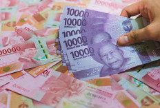 Jangan Asal Nabung! Ini 15 Panduan Lengkap Perihal Dana Darurat: Berapa Idealnya dan Cara Menghitungnya