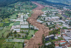Pemerintah Rencanakan Perubahan Pola Tanam di Zona Longsor