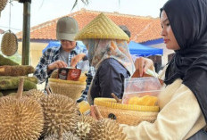 Desa Wisata Gunung Malang Kembangkan Wisata Alam dan Edukasi Berbasis Masyarakat