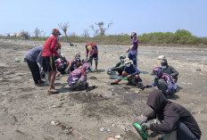Beres Pesisir Sedari, Gerak Cepat DLH Karawang Kumpulkan 2,49 Ton Limbah di Pesisir Cemarajaya