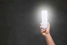 12 Panduan Memilih Lampu LED Rumah yang Hemat Listrik dan Awet Bertahun-tahun, Jangan Sampai Salah Beli!