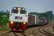KAI Logistik Buka Jalur Baru Banyuwangi-Jakarta, Distribusi Pangan Makin Lancar