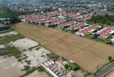 Ribuan Hektare Sawah di Bekasi Masuk Zona Rawan, Plt Bupati Asep Adopsi Sumur Pompa Tenaga Surya dari Surabaya
