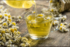 Minuman Alami yang Bisa Membuat Kulit Sehat dan Glowing