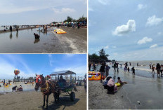 Wisata Karawang Membludak Saat Lebaran 2026, Tembus 82 Ribu Lebih Pengunjung