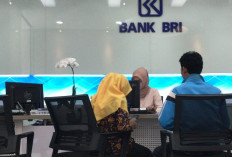 Tabel Angsuran KUR BRI 2026 Pinjaman Rp50 Juta Solusi Modal Usaha UMKM, Cicilan Ringan dan Tenor Panjang