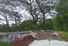 Kabel Listrik Hambat Pembangunan Jalan Alternatif di Purwadana, Warga Harap Respons Cepat PLN