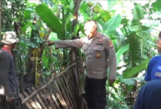 Warga Bekasi Kaget, 5 Kambing Mati Secara Tidak Wajar