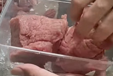 Jangan Asal Masuk Freezer! 11 Kesalahan Menyimpan Daging Kurban Ini Bikin Cepat Busuk dan Bau