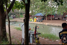 Tempat Liburan Gratis Makan Murah Bareng Keluarga di Karawang dengan Sensasi Adem  dan Anak Bisa Ngojay