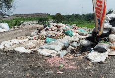Pengakuan Pemilik TPS Liar di Setu Tempat Pembuangan Guntingan Uang Kertas Asli Dibuang
