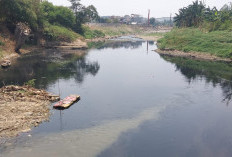 Ini 8 Sungai di Kabupaten Bekasi? yang Sering Tercemar hingga Menghitam