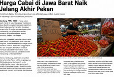 Harga Cabai di Jawa Barat Naik Jelang Akhir Pekan