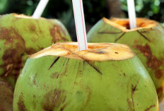 10 Manfaat Air Kelapa untuk Ibu Hamil, Tapi Tidak Semua Orang Dianjurkan Mengonsumsinya