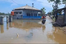 Proyek Giant Sea Wall Prabowo Belum Dibangun-bangun, 5 Desa Muaragembong Tergenang Banjir Rob Lagi