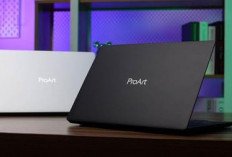 ASUS Luncurkan ProArt P14 dan P16, Laptop Kreator dengan Kemampuan AI Lokal
