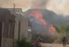 Gunung Anjing Terbakar, Petugas Kesulitan Jangkau Titik Api