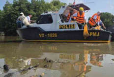 Kabar Baik untuk Pesisir Utara Bekasi, Plt Bupati Asep Punya Jurus Atasi Banjir hingga Persoalan Lingkungan