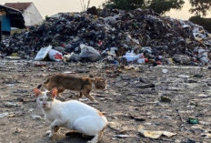 GMNI Kritik Tata Kelola Pemkot Bandung, Soroti Kemiskinan hingga Persoalan Sampah