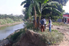 Kondisi Tanggul Memprihatinkan, Puluhan Titik di Kabupaten Bekasi Rawan Jebol Saat Hujan