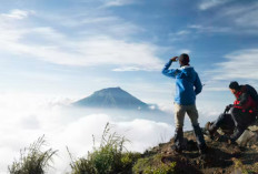 Rekomendasi 6 Tas Gunung Lokal Terbaik 2026 di Indonesia yang Terkenal Tangguh, Nyaman, dan Berkualitas