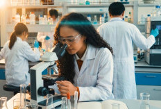 THE Impact Rankings 2026: Universitas Esa Unggul Masuk Top 7 PTS Indonesia untuk SDG 3