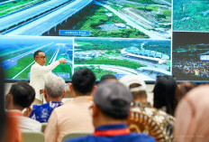 IKN Pamer Progres Jalan Tol dan Jembatan, Peserta KRTJ Ungkap Fakta di Lapangan