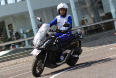 Para Bikers Harus Tahu, Inilah Fungsi dan Ragam Jenis Knee Protector Sepeda Motor   