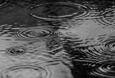 BMKG Rilis Peta Hujan 17–23 Maret 2026, Pemudik Diminta Waspada