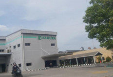 Rekrutmen PT Sakura Java Indonesia Dibuka Maret 2026, Butuh Operator Produksi dan PPIC