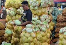 Jangan Sembarangan Konsumsi Kol! Ini 8 Kondisi Orang yang Disarankan Batasi Asupannya