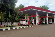 Resmi! Harga BBM di SPBU Pertamina Tidak Berubah per 1 April 2026, Cek Harga Terbarunya di Wilayah Jakarta