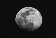 Full Sturgeon Moon Akan Hiasi Langit Agustus 2026, Puncaknya 28 Agustus