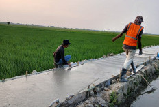Permudah Warga Angkut Hasil Produksi, DPKP Karawang Bangun Jalan Usaha Tani, Ini Daftar 29 Titik Proyeknya