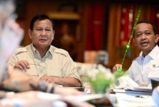 Presiden Prabowo Bahas Percepatan Listrik Desa dan Ketahanan Energi Nasional