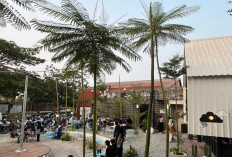 Bosan Nongkrong di Mal? Ini 4 Tempat Ngopi Bernuansa Alam di Karawang yang Wajib Dicoba
