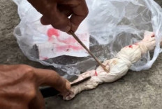 Jelang Pilkades Bekasi, Bungkusan Mirip Pocong Gegerkan Warga Karangpatri, Pebayuran 