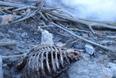 Centralia, Kota Mati di Amerika yang Terus Terbakar Selama Puluhan Tahun