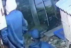 Terekam CCTV, Aksi Pencurian Ayam Jago di Cikarang Timur Bikin Resah Warga
