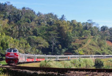 Pemprov Jabar Dukung Reaktivasi Jalur Kereta untuk Stimulus Ekonomi